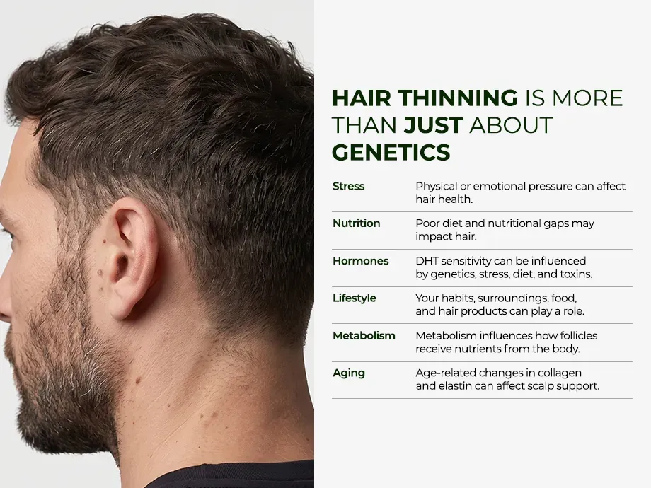 Neo Hair Lotion banner on scalp health, reduced shedding and stronger strands
