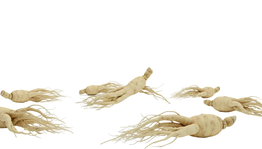 White Ginseng (Radix Alba) White Ginseng (Radix Alba) — botanical active used in Green Wealth Neo Hair formulas